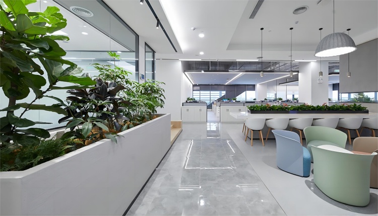 辦公室綠植，打造活力辦公空間